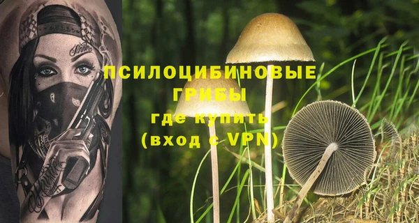 герыч Магас