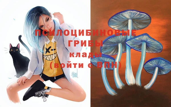 герыч Дмитриев