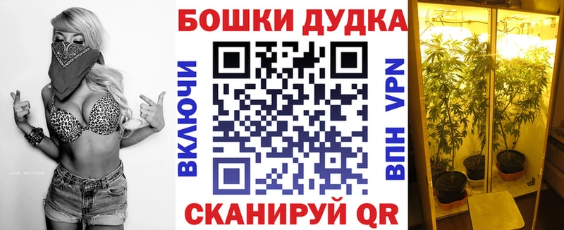 купить закладку  Ельня  МАРИХУАНА сатива 